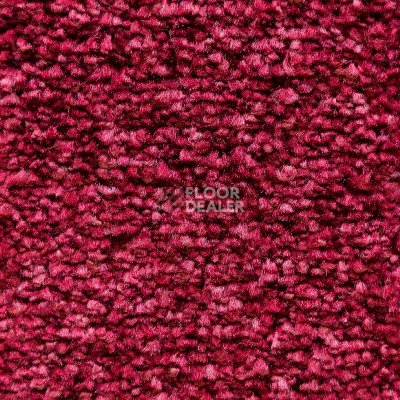 Ковролин AW Masquerade Costanza 19 фото 1 | FLOORDEALER